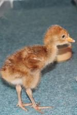 Black White Black - 12th May 2014 Black White Black - 12th May 2014